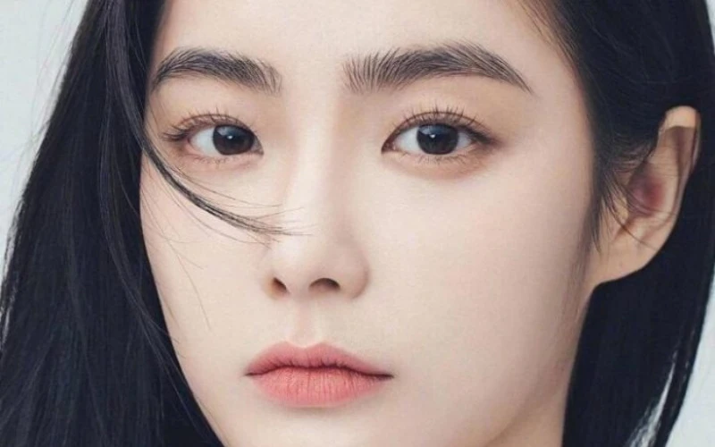The 5 golden steps of the feng shui-inspired powder brows procedure (Source: Internet)