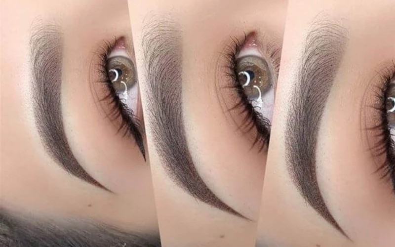 What are ombre powder brows (Standard)? (Source: Internet)