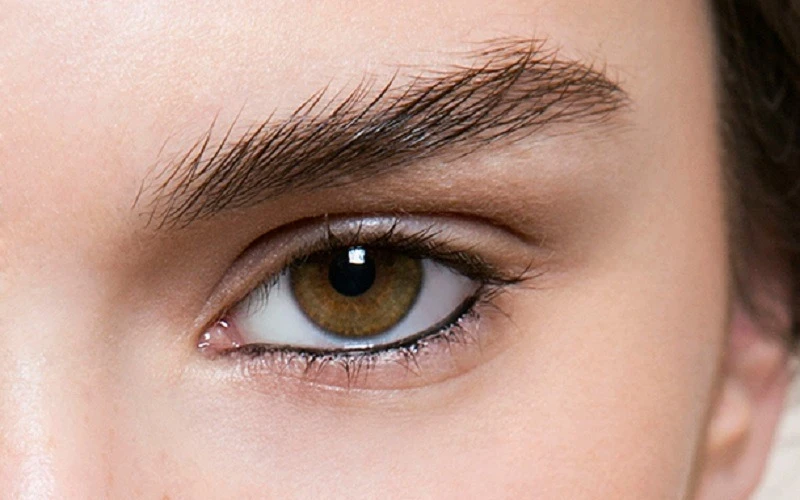 An upper eyeliner tattoo for naturally larger and more captivating eyes (source: internet)